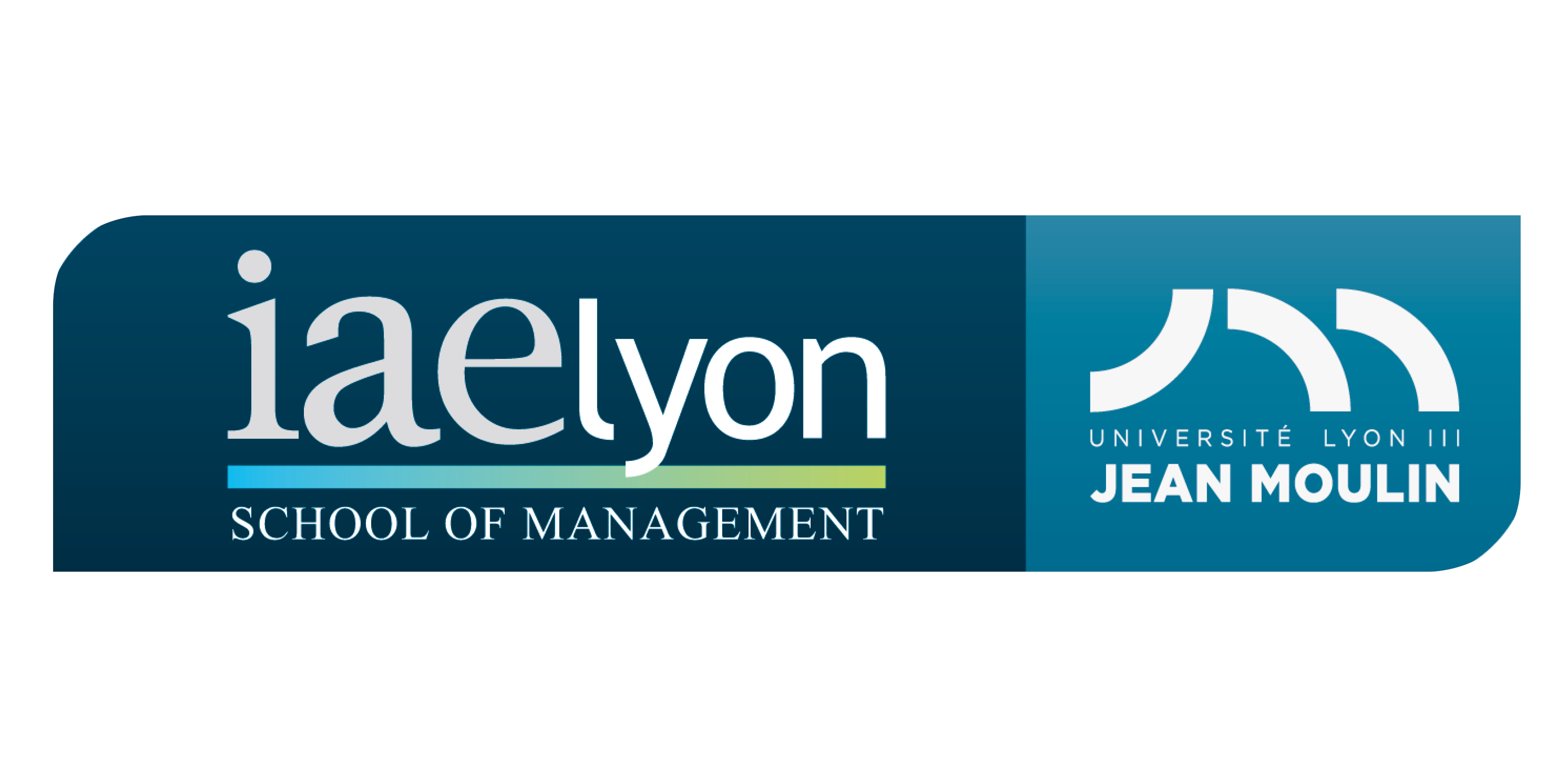 Logo IAE LYON 3 Logo IAE LYON 3