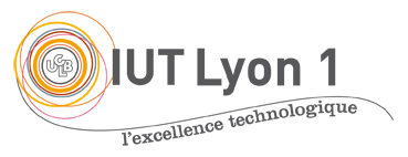 Logo IUT Lyon 1 Logo IUT Lyon 1