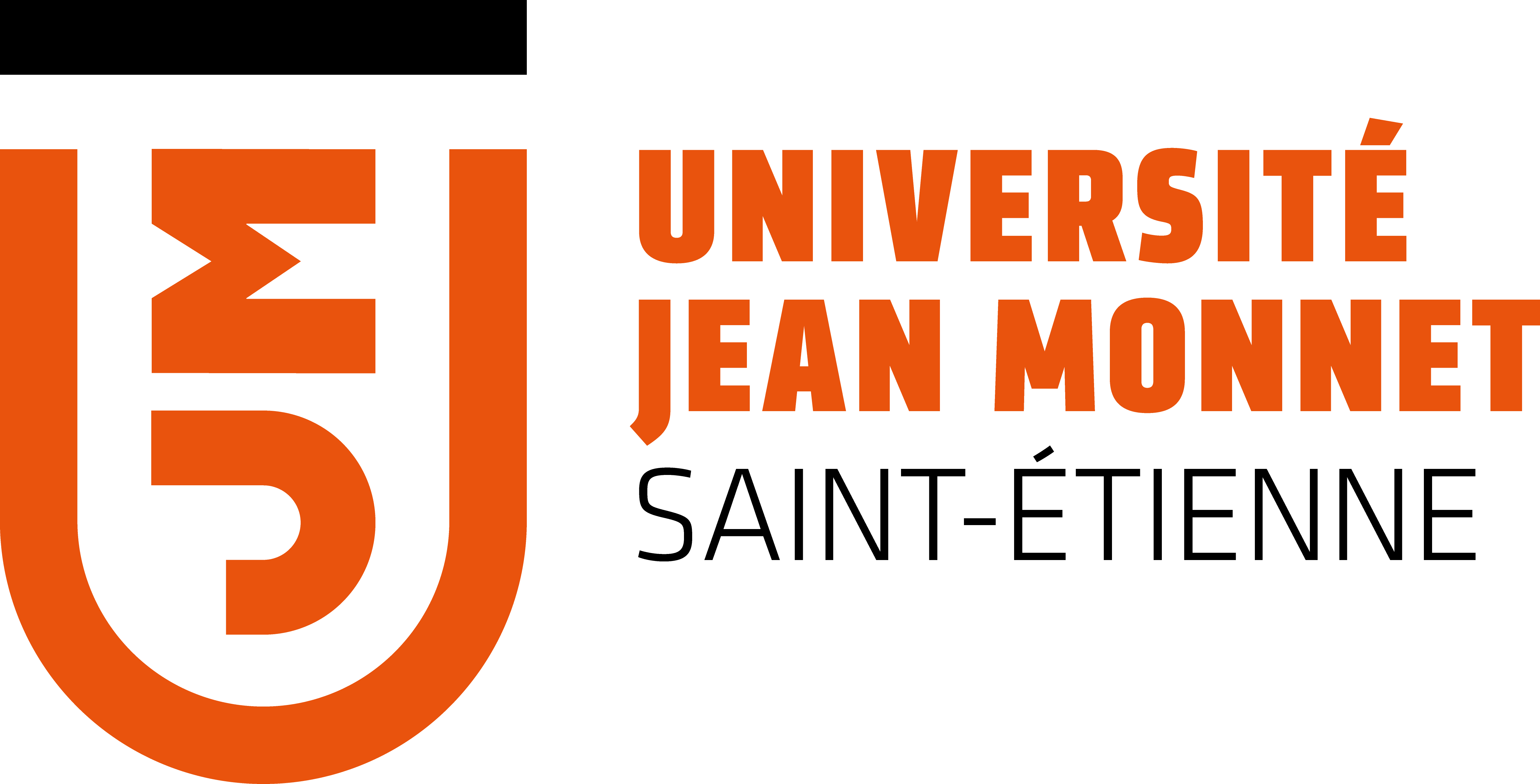 Logo JEAN MONNET Logo Université Jean MONNET